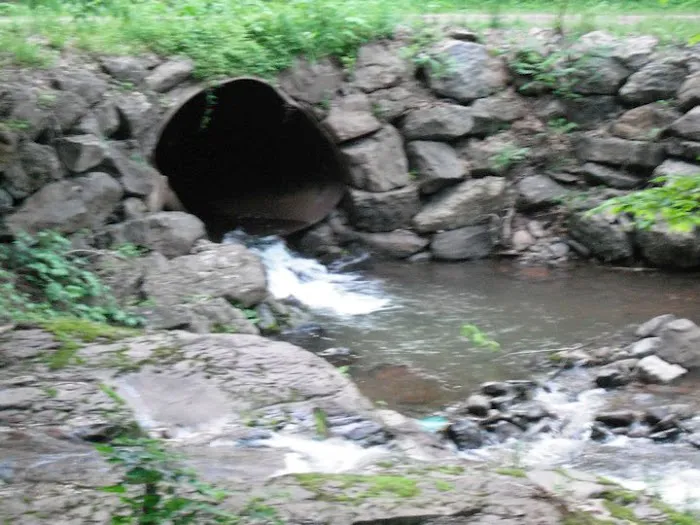 Doherty's Mountain View Campground Picture 6