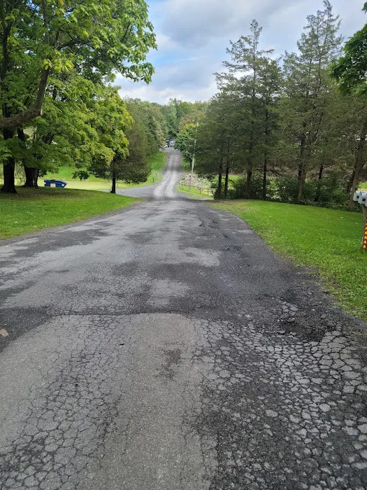 Camp Catskills RV Park Picture 5