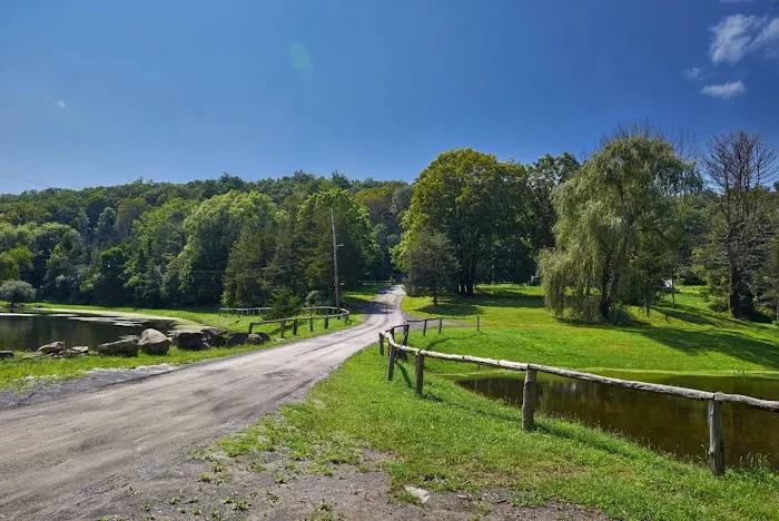Camp Catskills RV Park Picture 7