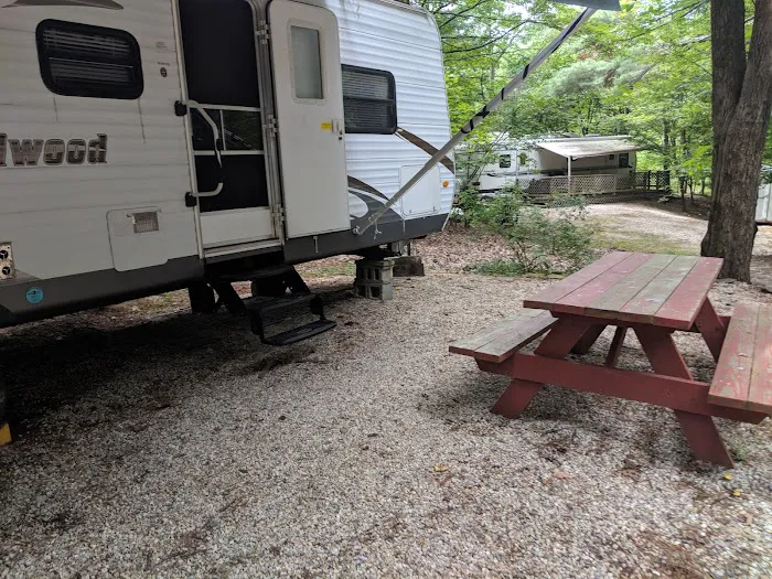 Fox Hill Camping Area Picture 8
