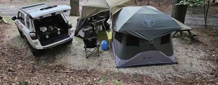 Fox Hill Camping Area Picture 4