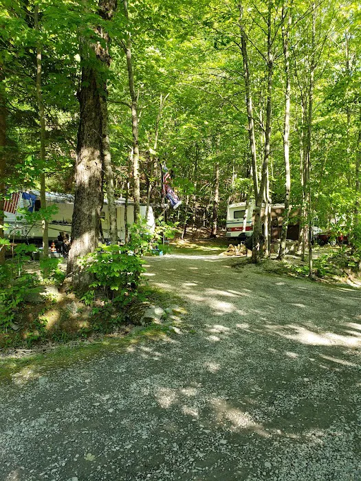 Fox Hill Camping Area Picture 7