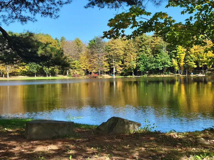 Earlton Hill Campground & RV Park LLC Picture 3