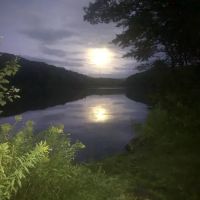 Beartown Site 7 ico