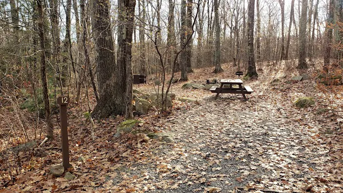 Beartown State Forest Site 12 Picture 1