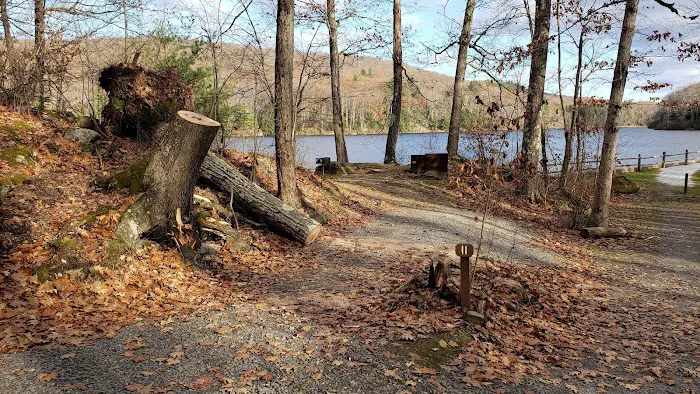 Beartown State Forest Site 11 Picture 1
