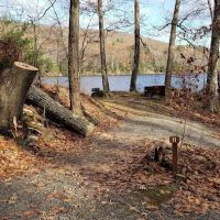 Beartown State Forest Site 11 ico
