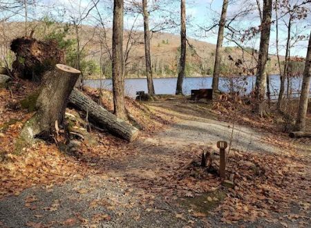 Beartown State Forest Site 11