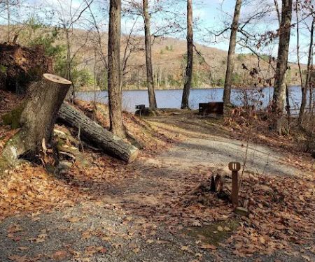 Beartown State Forest Site 11