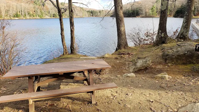 Beartown State Forest Site 11 Picture 2