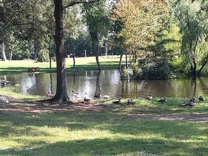 Pine Springs Mobile Home Park Picture 1