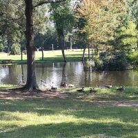 Pine Springs Mobile Home Park ico