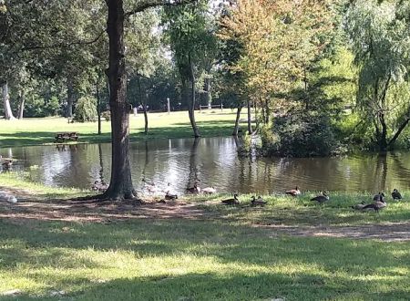 Pine Springs Mobile Home Park
