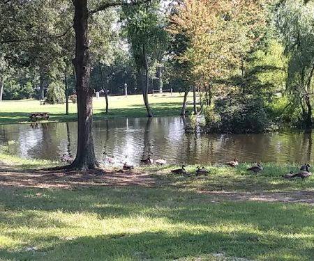 Pine Springs Mobile Home Park