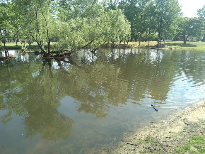 Pine Springs Mobile Home Park Picture 10