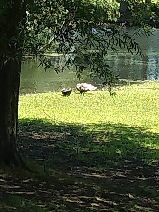 Pine Springs Mobile Home Park Picture 7