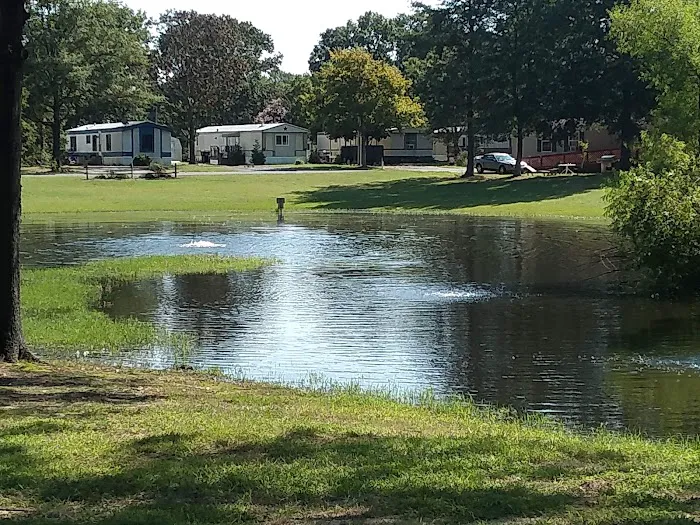 Pine Springs Mobile Home Park Picture 9