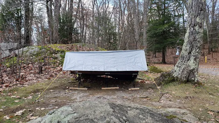Beartown State Forest Site 10 Picture 3