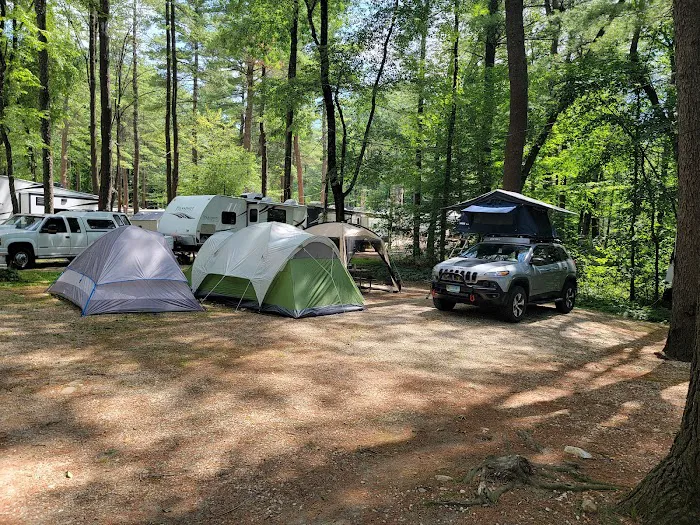 Lone Oak Campsites Picture 5