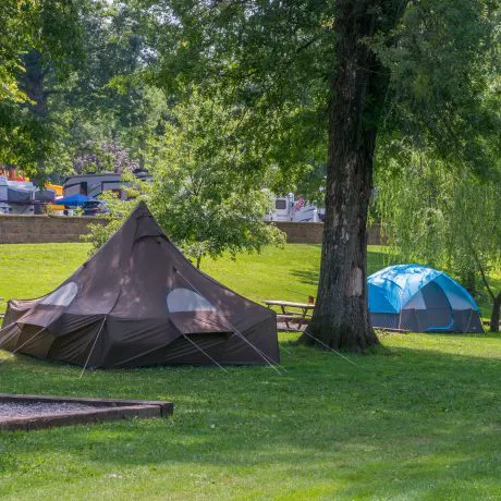 Yogi Bear’s Jellystone Park Camp-Resort at Milton Picture 9