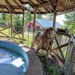 Gentile's Campground