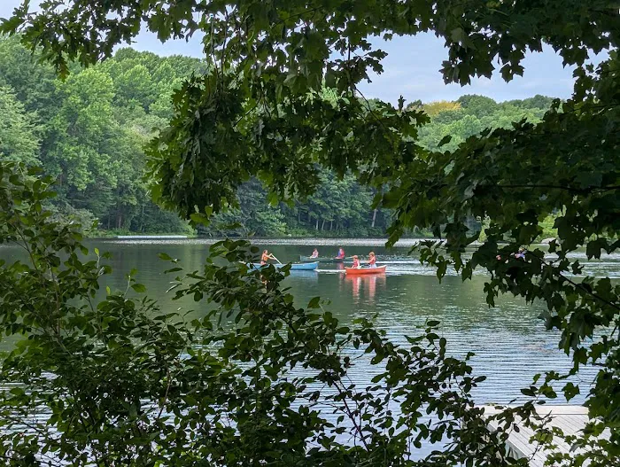 Camp Picture 2
