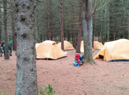 Webb Mountain Campsites 8-11