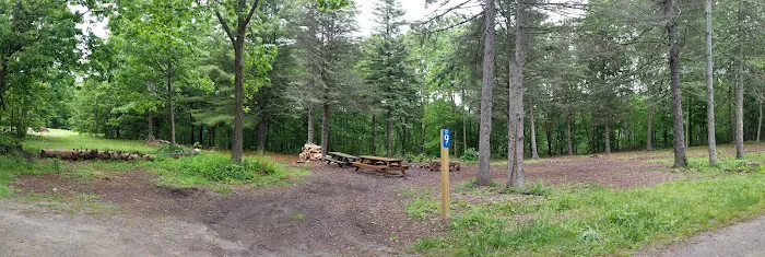 Webb Mountain Campsites 8-11 Picture 2