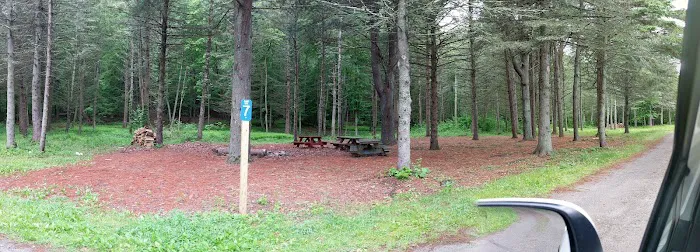 Webb Mountain Campsites 8-11 Picture 4