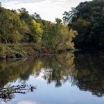 Webb Mountain Campsites 2-7