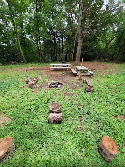 Webb Mountain Campsites 2-7 Picture 6