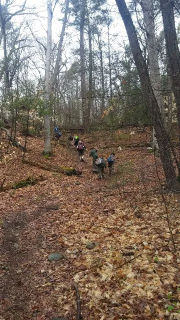 Webb Mountain Campsites 2-7 Picture 7