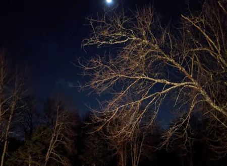Hoyt Scout Reservation, Scouting America