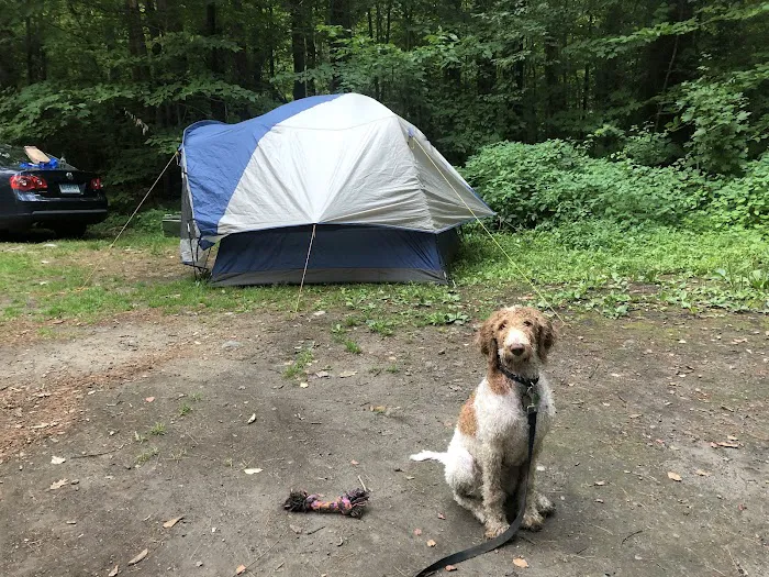 Austin Hawes Campground Picture 2