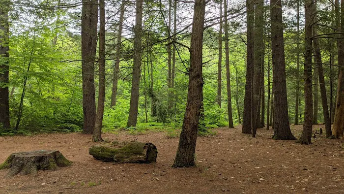 Austin Hawes Campground Picture 3