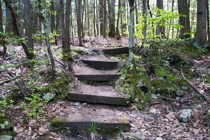 Austin Hawes Campground Picture 4