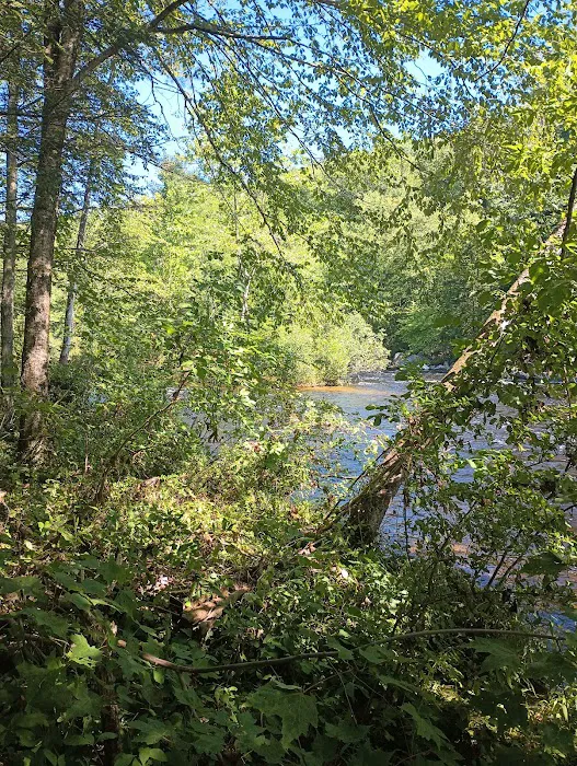 Austin Hawes Campground Picture 9