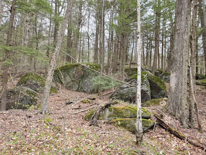Big Spring Area Picture 1
