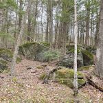 Big Spring Area