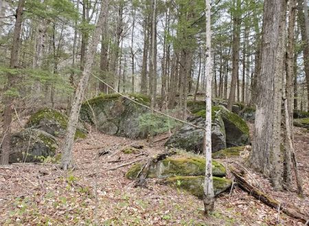 Big Spring Area