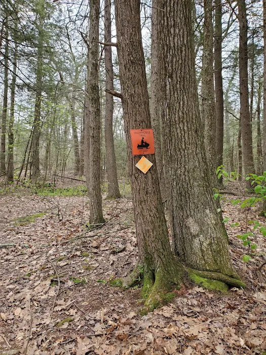 Big Spring Area Picture 3