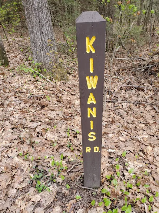 Big Spring Area Picture 6