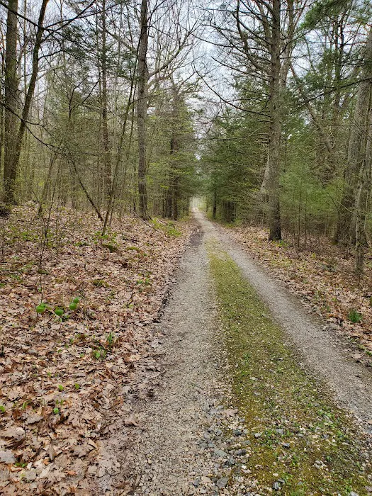 Big Spring Area Picture 9