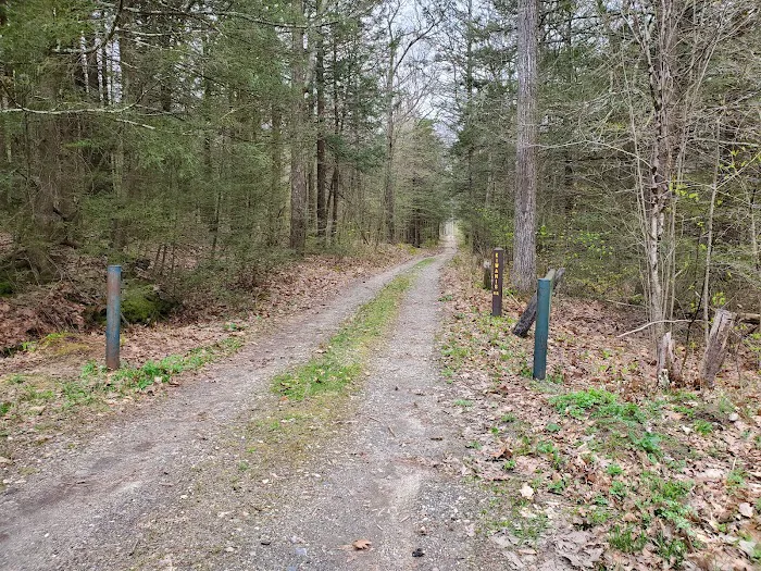 Big Spring Area Picture 8