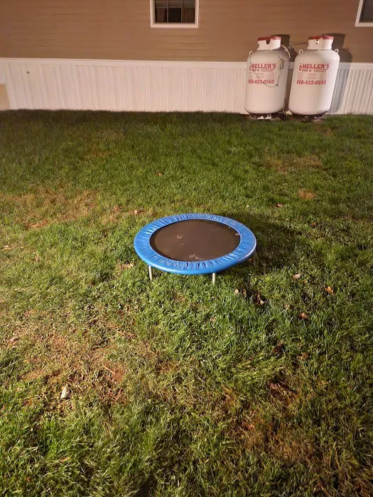 Palm City Park Picture 6