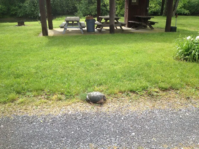 Irvin Swatara Acres Creekside RV & Camp Parks Picture 8
