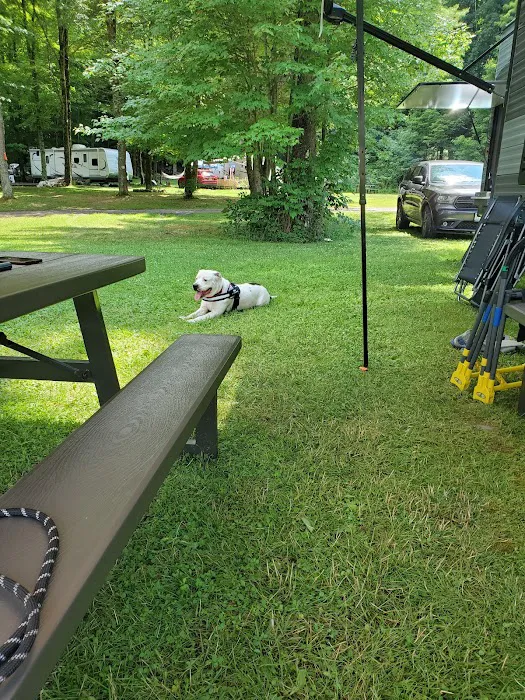 Little Lake Campground Picture 6