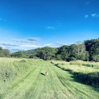 Crazy Acres Campground at Beaver Spring Lake ico