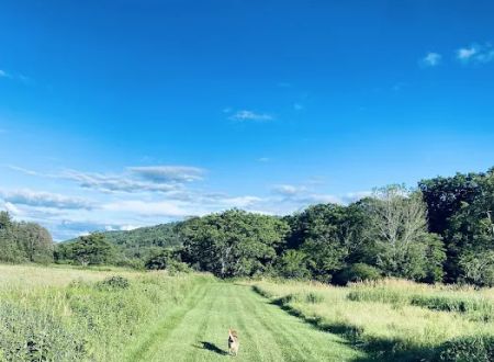 Crazy Acres Campground at Beaver Spring Lake