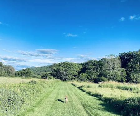 Crazy Acres Campground at Beaver Spring Lake